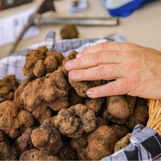 Il tartufo conquista la Costa Azzurra: a Saint-Jean-Cap-Ferrat torna il mercato del tesoro nero