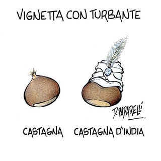 Quando una vignetta vale come mille editoriali