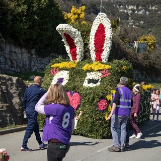 Tourrettes sur Loup, é il momento della Fête des Violettes