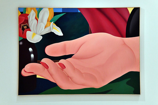 Opera di Tom Wesselmann Opera di Tom Wesselmann