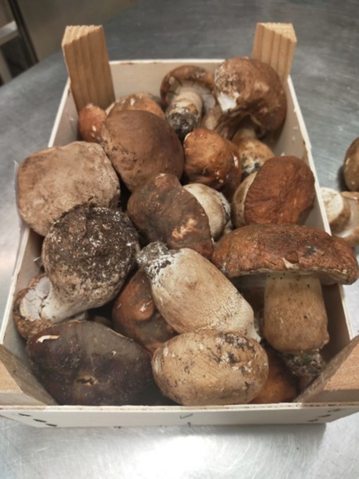 Il menù della Trattoria del Ponte di Verezzo si arricchisce di tre nuovi primi gourmet: Ravioli con ripieno di Funghi Porcini, Tagliolini di Lumaca e Risotto mantecato con le Lumache Il menù della Trattoria del Ponte di Verezzo si arricchisce di tre nuovi primi gourmet: Ravioli con ripieno di Funghi Porcini, Tagliolini di Lumaca e Risotto mantecato con le Lumache