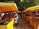 Toulon, fotografie di Patrizia Gallo e Danilo Radaelli Toulon, fotografie di Patrizia Gallo e Danilo Radaelli