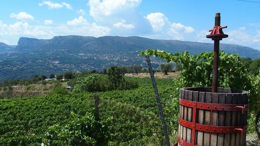 Bellet, il territorio