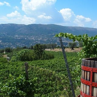 Bellet, il territorio