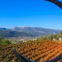 A Nizza la vendemmia scappa dal calendario: il caldo cambia il vino della Côte d’Azur A Nizza la vendemmia scappa dal calendario: il caldo cambia il vino della Côte d’Azur