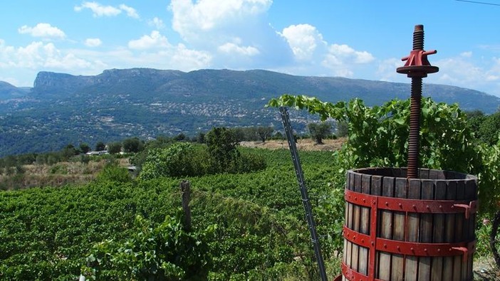 Bellet, il territorio