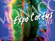 Piante grasse sotto i riflettori a Montecarlo con il nuovo "Expo Cactus" 2012