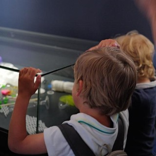 Venissages al Museo della Fotografia ed a Palazzo Lascaris. Fotografie di Silvia Assin