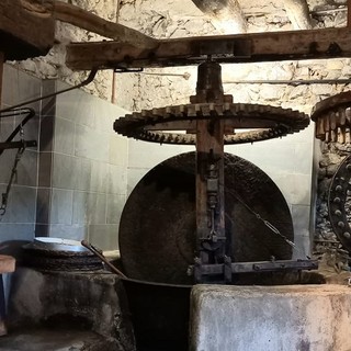 "Vecchio frantorio", fotografia di Cristina Lamberti