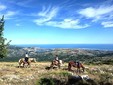 Foto 5: Regalarsi un giro a cavallo e godere di una vista incredibile