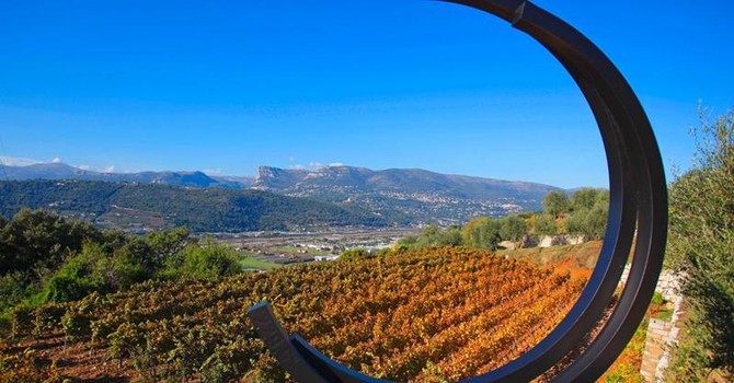 A Nizza la vendemmia scappa dal calendario: il caldo cambia il vino della Côte d’Azur A Nizza la vendemmia scappa dal calendario: il caldo cambia il vino della Côte d’Azur