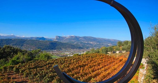 A Nizza la vendemmia scappa dal calendario: il caldo cambia il vino della Côte d’Azur A Nizza la vendemmia scappa dal calendario: il caldo cambia il vino della Côte d’Azur