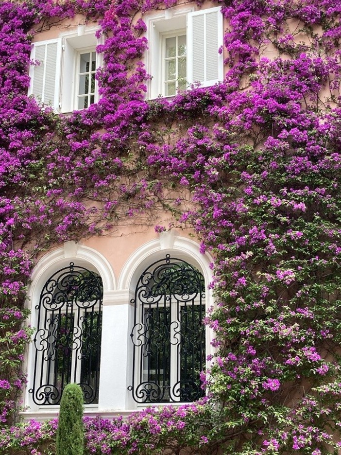 "Villa in fiore", fotografia di Mietta Tondelli