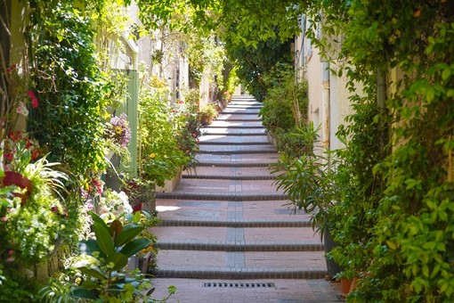 Vieil Antibes Vieil Antibes