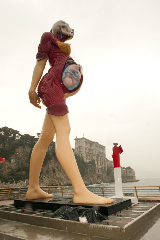 Virgin Mother - Photo Copyright Dagnino