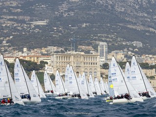 YCM  © StudioBorlenghi