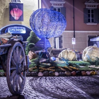 Zucca in piazza, a Piozzo (Cuneo) nel weekend i produttori locali con le zucche e prodotti tipici
