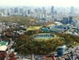 arboretum01_ New National Stadium of Japan Tokyo ©Dorell.Ghotmeh.Tane/Architects