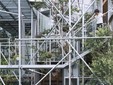 arboretum02_ Daita2019 House Tokyo, 2019 Suzuko Yamada Architects © Yurika Kono