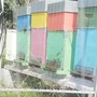 Il calabrone assedia le arnie, a Cannes le api si difendono con l’arpa elettrica
