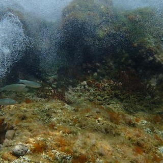 Sottocosta …a cura di Ghjuvan Pasquale