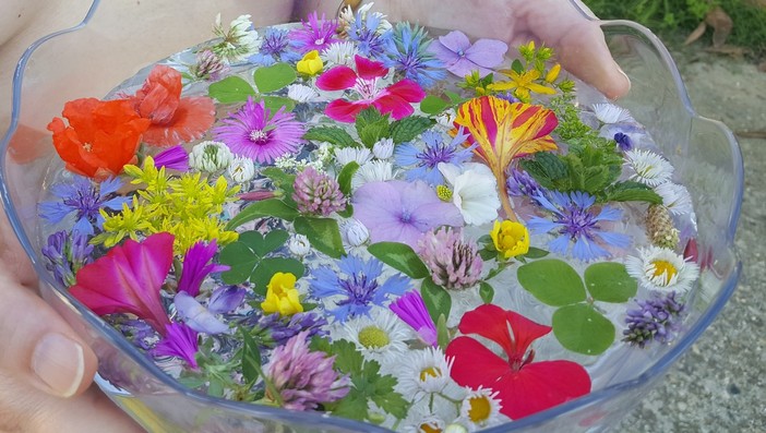 Acqua di san Giovanni preparata con erbe e fiori Acqua di san Giovanni preparata con erbe e fiori