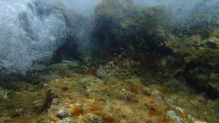 Sottocosta …a cura di Ghjuvan Pasquale Sottocosta …a cura di Ghjuvan Pasquale