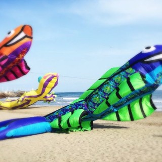 Imperia, torna “Sol&amp;vento – Energia di Primavera”: aquiloni, sport e cultura per la 25ª edizione