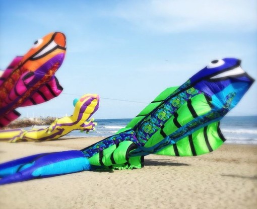 Imperia, torna “Sol&vento – Energia di Primavera”: aquiloni, sport e cultura per la 25ª edizione Imperia, torna “Sol&vento – Energia di Primavera”: aquiloni, sport e cultura per la 25ª edizione