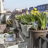 Balconi e finestre: cosa si può appendere davvero? Le regole da conoscere in condominio Balconi e finestre: cosa si può appendere davvero? Le regole da conoscere in condominio