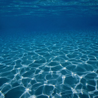 Monte-Carlo : la due giorni di "Monaco Blue Initiative"