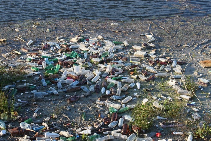 Un belga in media ingerisce 11.000 frammenti di plastica all’anno: anche in Italia i rifiuti ritornano dagli oceani alla nostra tavola