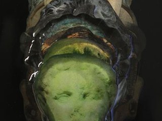 Nos visages comme la peau d'un même serpent détail Nos visages comme la peau d'un même serpent détail