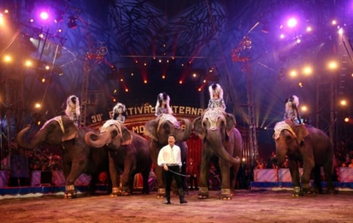 Montecarlo: meno 5 giorni al Festival Internazionale del Circo!