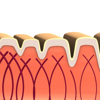 Collagene da bere nella sua forma più pura.