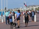 A Nizza la vita è da cani... nel modo migliore!