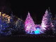 Montecarlo: tutte le idee per trascorrere il primo giorno dell'anno 2012 Montecarlo: tutte le idee per trascorrere il primo giorno dell'anno 2012