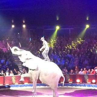 Solo applausi per il 41^ Festival Internazionale del Circo di Montecarlo, adesso spazio alla New Generation, i giovani talenti  (Fotogallery)