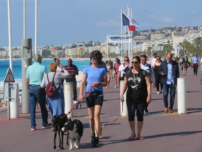 Nizza, città amica degli animali: nuovo riconoscimento per l’impegno sul benessere a quattro zampe Nizza, città amica degli animali: nuovo riconoscimento per l’impegno sul benessere a quattro zampe