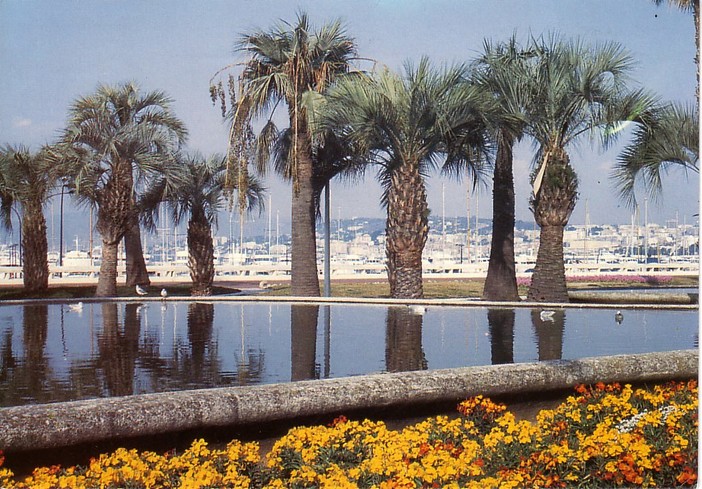 A Cannes si naviga con una maggiore attenzione per l'ambiente A Cannes si naviga con una maggiore attenzione per l'ambiente