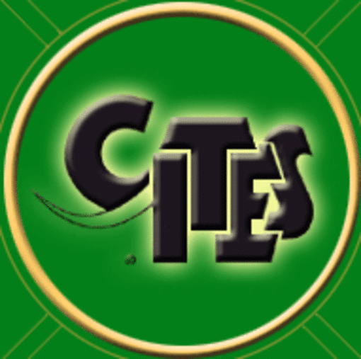 Quattro tipi di legno e tre specie di farfalle iscritte al CITES