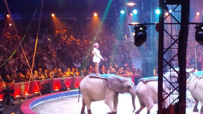 Ecco i vincitrori della 7^ New Generation del estival del Circo di Montecarlo, i premi dedidati ai giovani talenti Ecco i vincitrori della 7^ New Generation del estival del Circo di Montecarlo, i premi dedidati ai giovani talenti