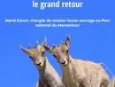 Al Museo d'Antropologia Preistorica di Monaco una conferenza sul ritorno dello stambecco sulle Alpi
