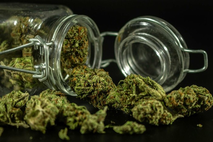 Accesso alla cannabis terapeutica a Cannes: iter, limiti e nodi irrisolti Accesso alla cannabis terapeutica a Cannes: iter, limiti e nodi irrisolti