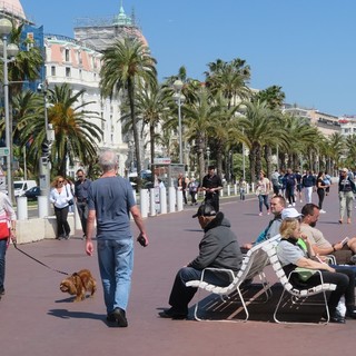 Nizza, quant’è bella la “vita da cani”! (Foto)