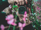 Monte-Carlo Photo Contest 2026, aperte le iscrizioni al concorso internazionale di fotografia nel Principato di Monaco