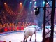 Ecco il Palmares dei premiati al 42^ Circo di Montecarlo, lo 'spettacolo più bello del mondo'