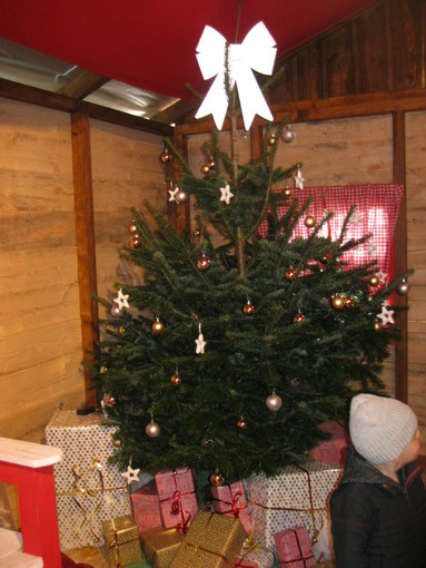 Ecco la Casa di Babbo Natale a Nizza: atmosfera dal Grande Nord, con abeti, renne e la calda casetta in legno