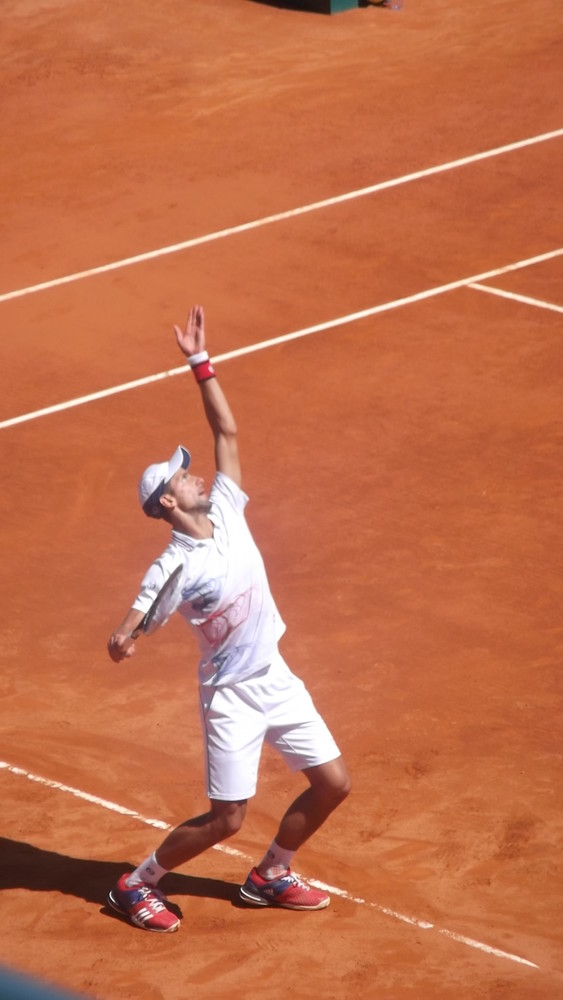 Nole in battuta contro Berdych