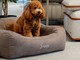 Sanremo, weekend “Cuccioloso&amp;Family” da Divani&amp;Divani: attività gratuite per i tuoi animali, ma affrettati a prenotare!